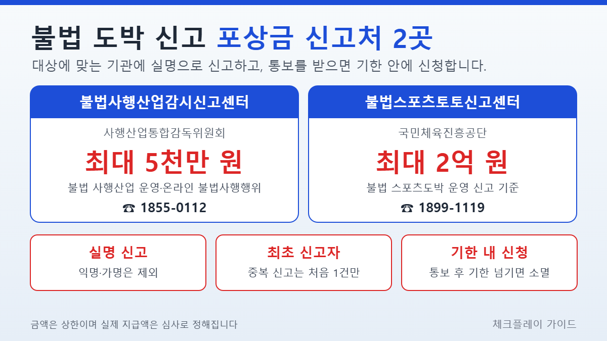 불법 도박 신고 포상금 신고처 2곳 비교 인포그래픽 - 불법사행산업감시신고센터 최대 5천만 원, 불법스포츠토토신고센터 최대 2억 원, 실명 신고·최초 신고자·기한 내 신청